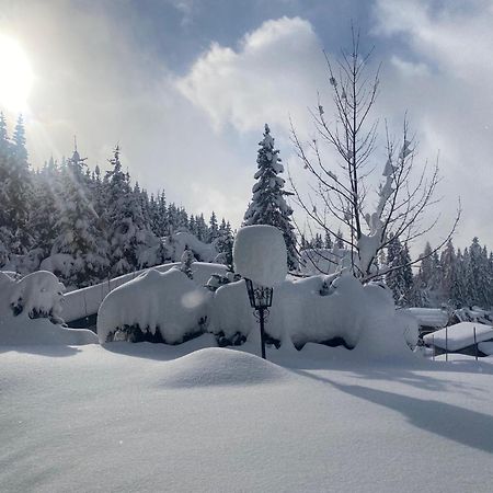 Appartementhaus Hochkoenig - Panoramablick Mühlbach am Hochkönig Zewnętrze zdjęcie