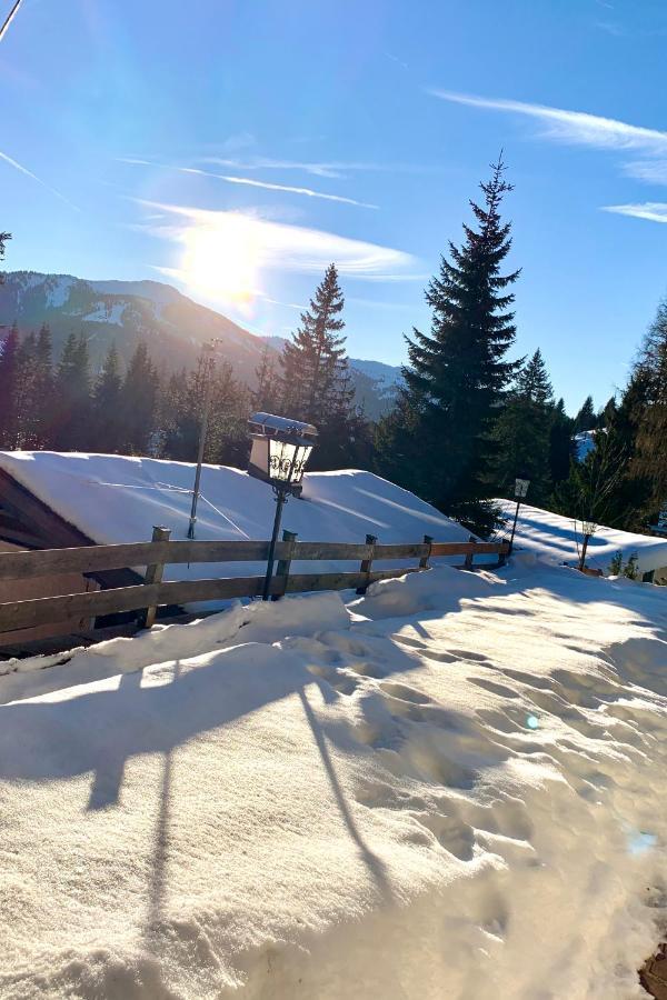 Appartementhaus Hochkoenig - Panoramablick Mühlbach am Hochkönig Zewnętrze zdjęcie