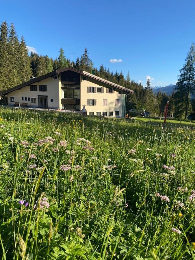 Appartementhaus Hochkoenig - Panoramablick Mühlbach am Hochkönig Zewnętrze zdjęcie