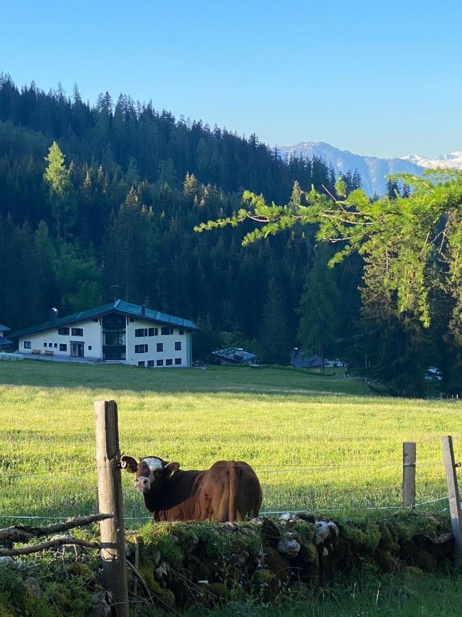 Appartementhaus Hochkoenig - Panoramablick Mühlbach am Hochkönig Zewnętrze zdjęcie