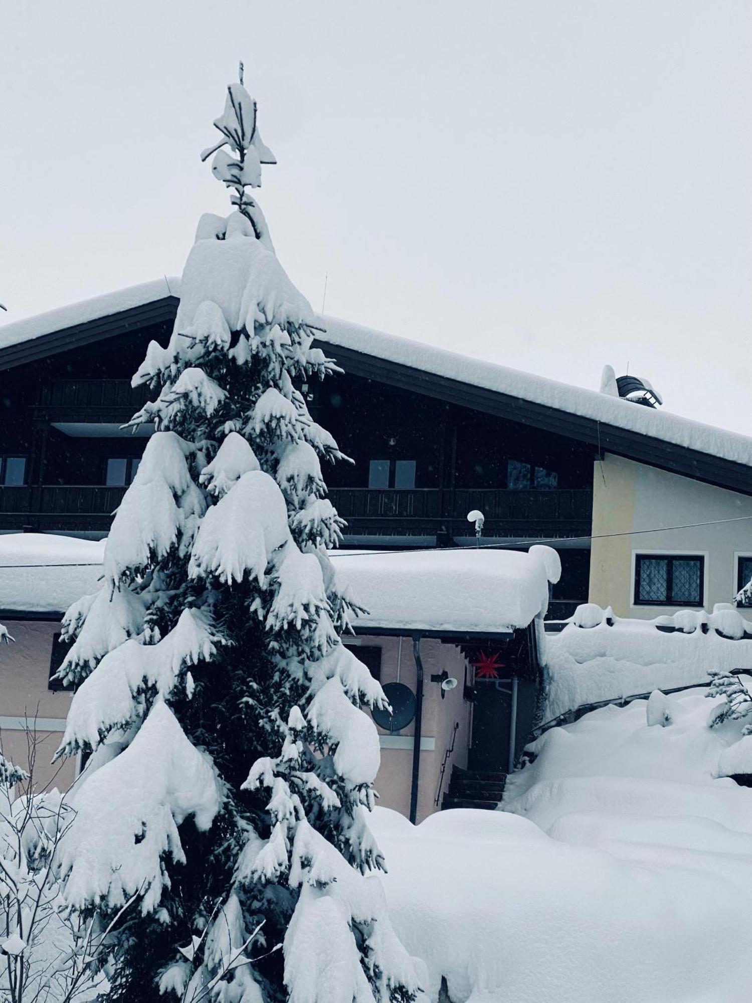 Appartementhaus Hochkoenig - Panoramablick Mühlbach am Hochkönig Zewnętrze zdjęcie