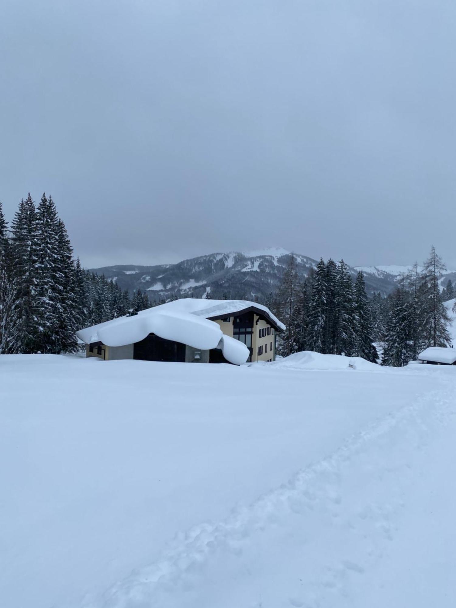 Appartementhaus Hochkoenig - Panoramablick Mühlbach am Hochkönig Zewnętrze zdjęcie