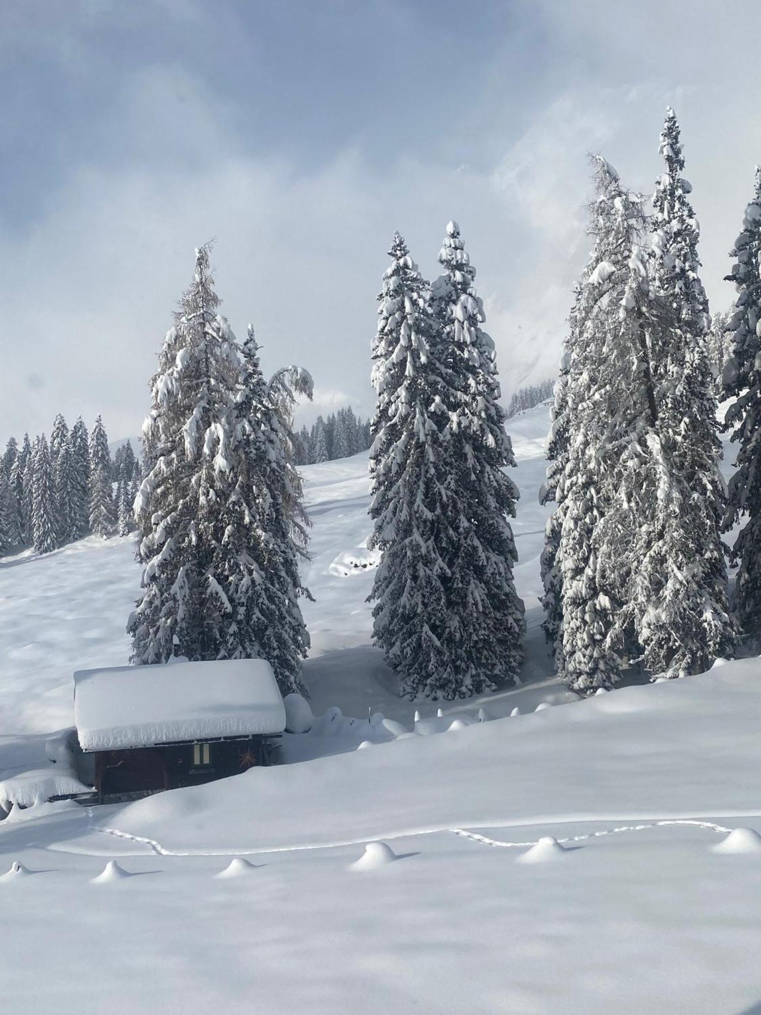 Appartementhaus Hochkoenig - Panoramablick Mühlbach am Hochkönig Zewnętrze zdjęcie